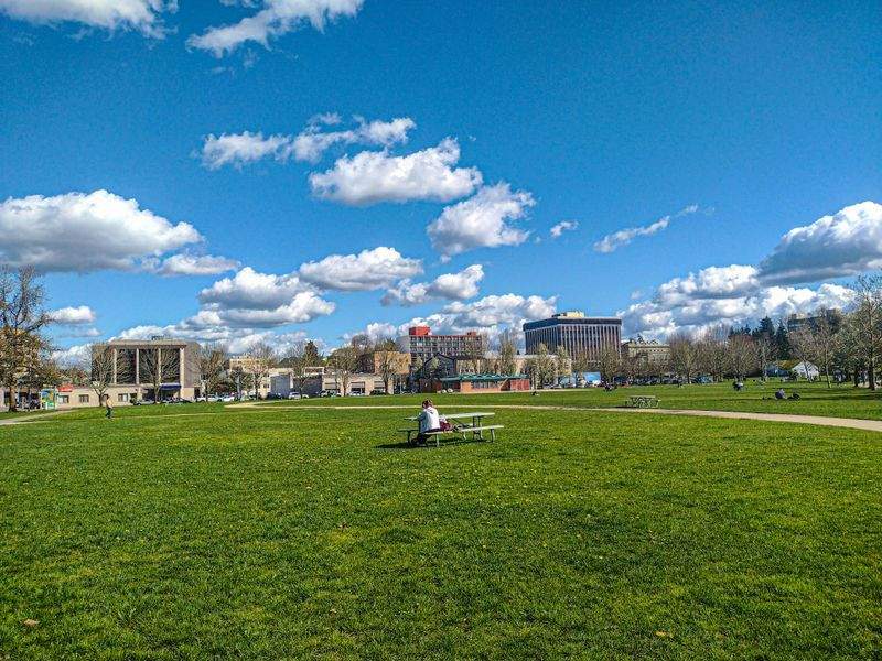 緑のオアシス株式会社 - Image 13