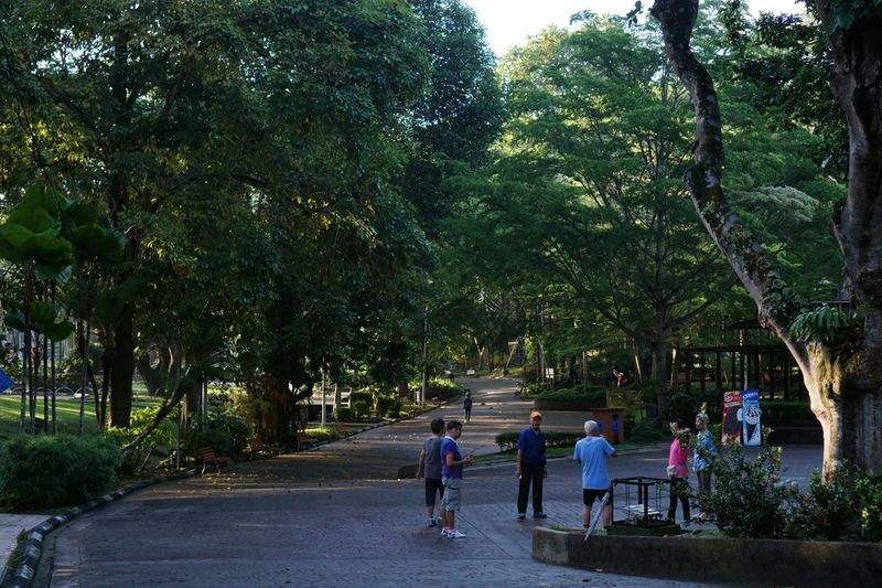 緑のオアシス株式会社 - Image 15