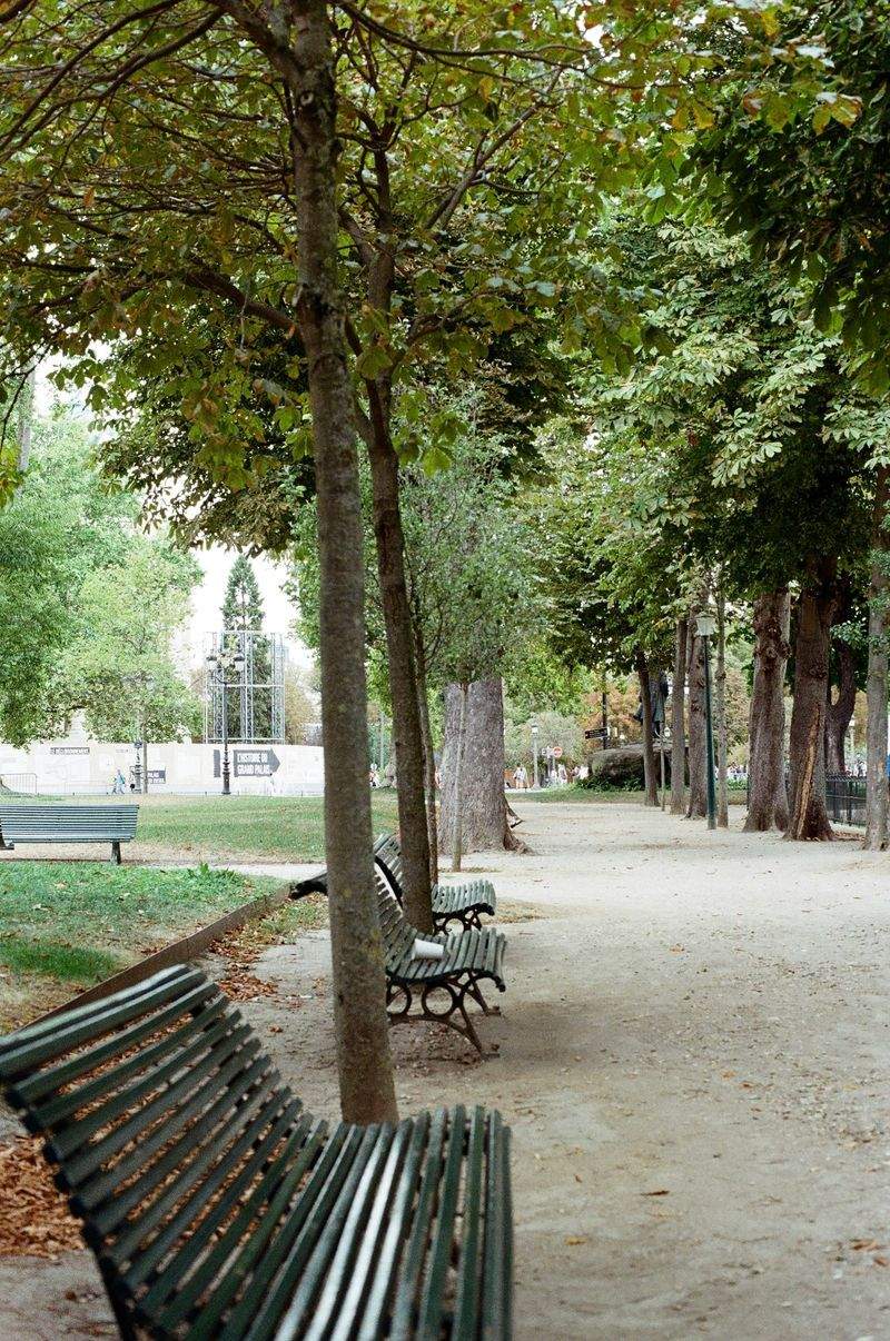 緑のオアシス株式会社 - Image 8